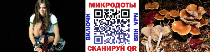 Псилоцибиновые грибы мицелий  продажа наркотиков  Усолье-Сибирское 
