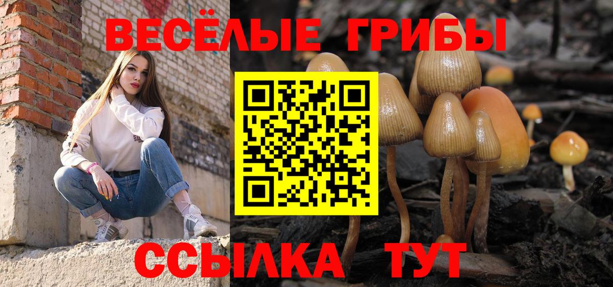 Галлюциногенные грибы ЛСД Усолье-Сибирское